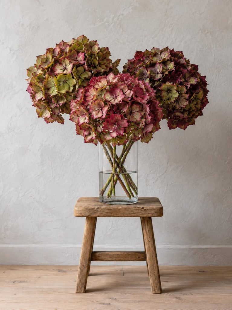 Boeket Hortensia: drie hortensia’s in herfsttinten op een krukje